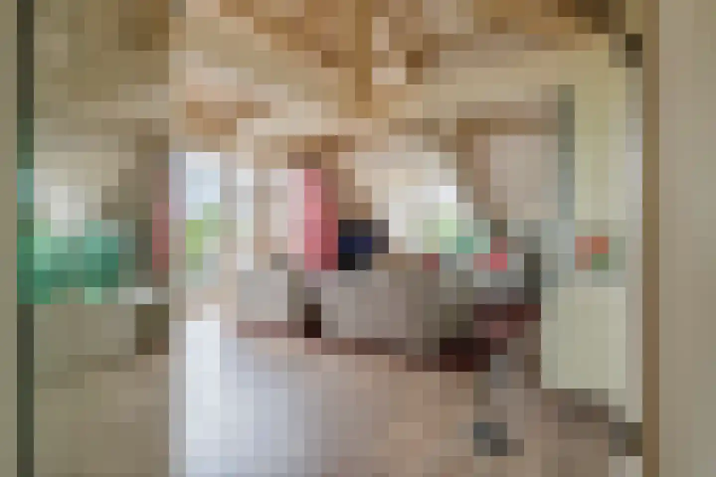 Elisabethdreef 3 14 Culemborg thumbnail 16