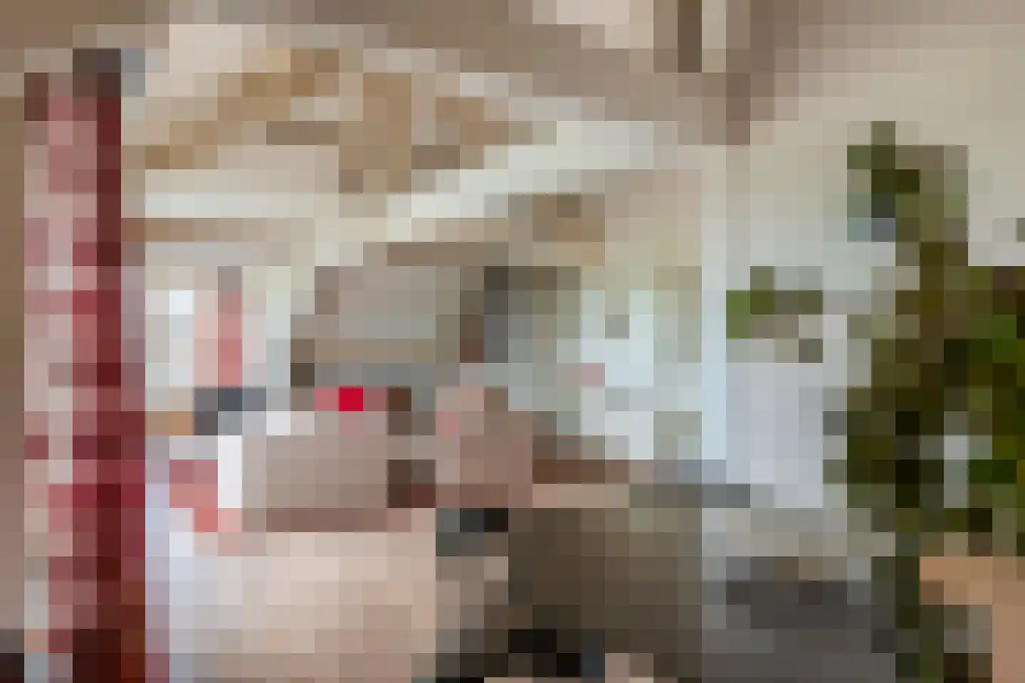 Elisabethdreef 3 14 Culemborg thumbnail 4
