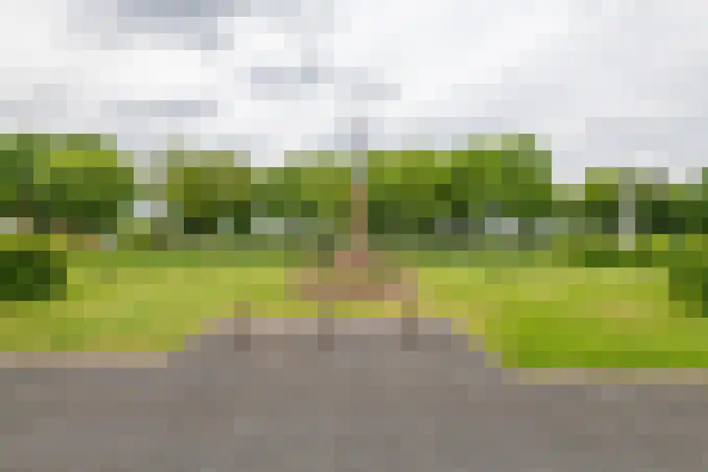 Elisabethdreef 3 14 Culemborg thumbnail 40