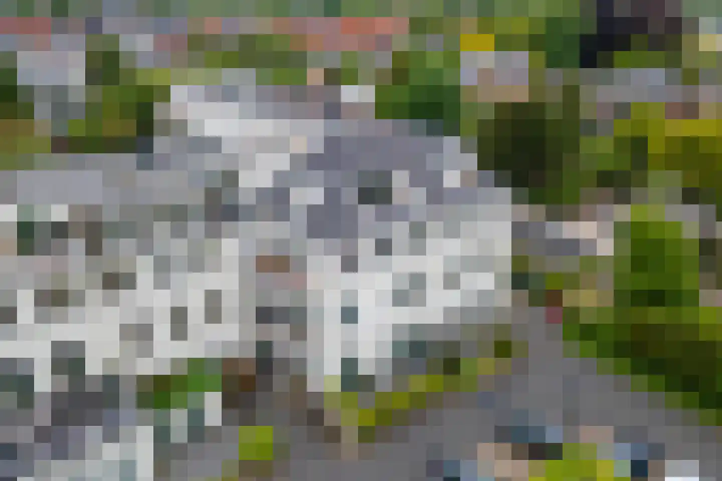 Elisabethdreef 3 14 Culemborg thumbnail 52
