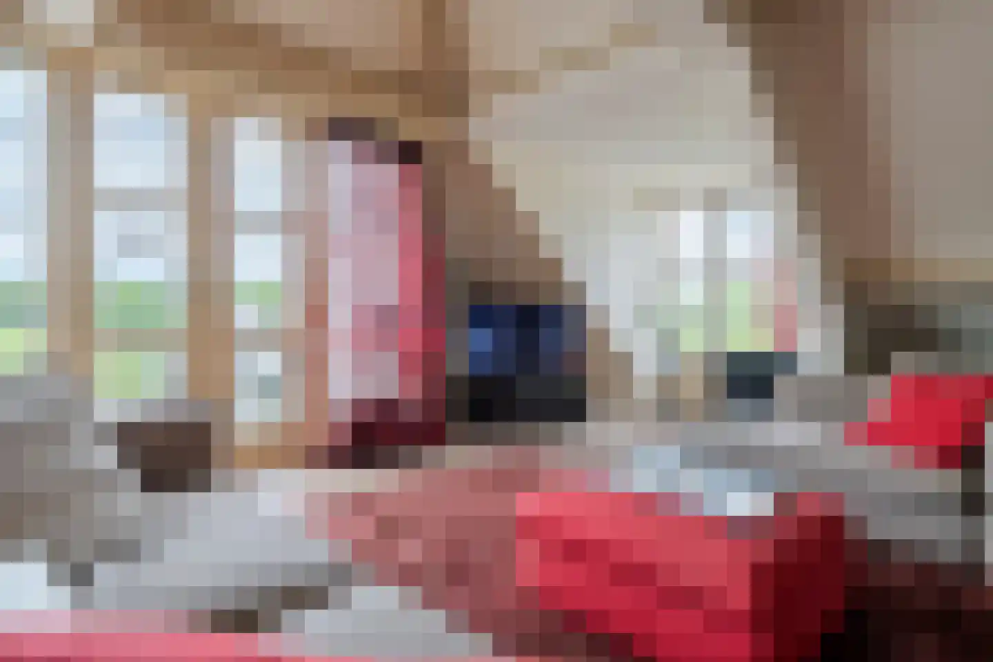 Elisabethdreef 3 14 Culemborg thumbnail 9