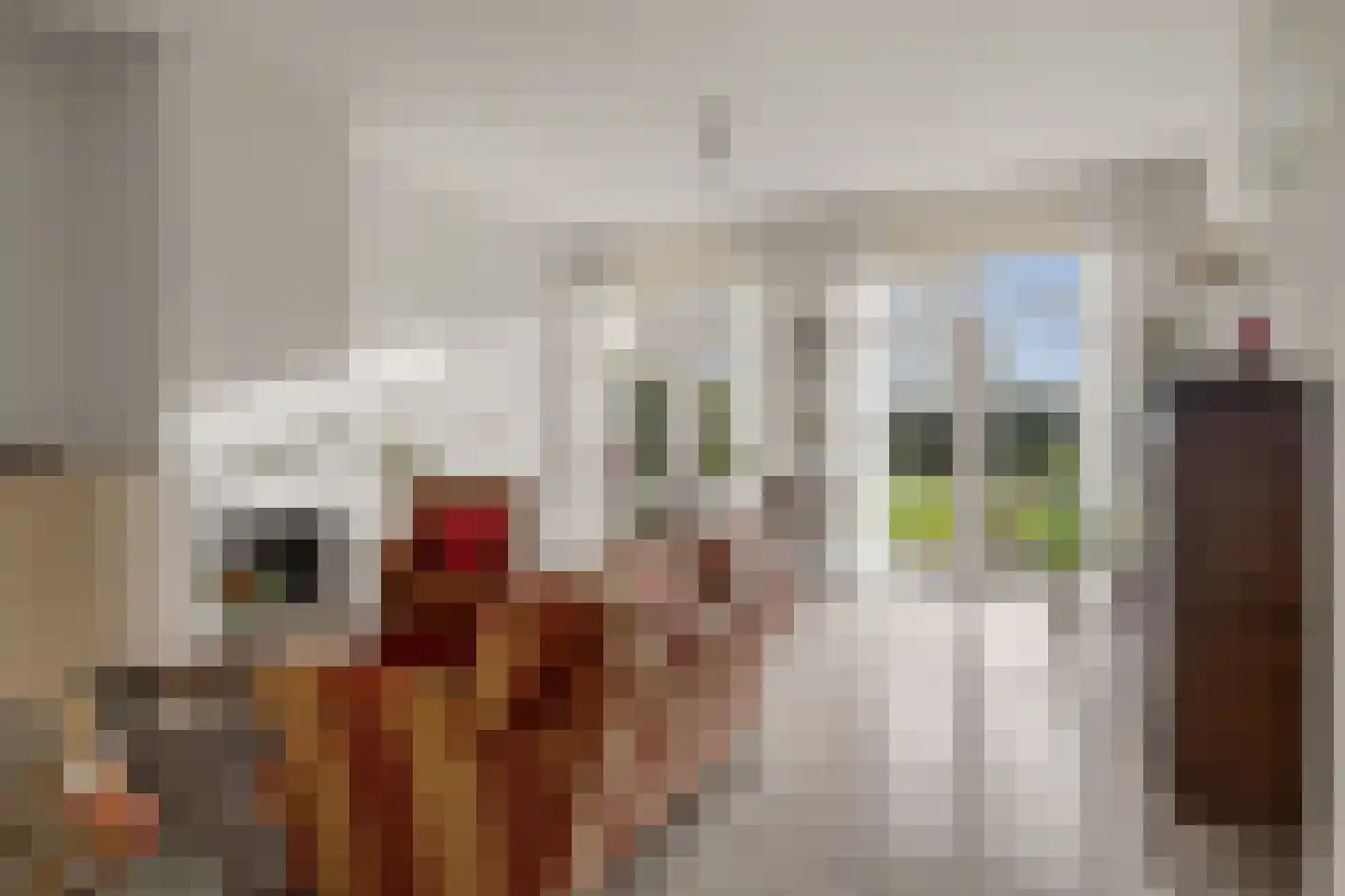 Elisabethdreef 3 2 Culemborg thumbnail 5