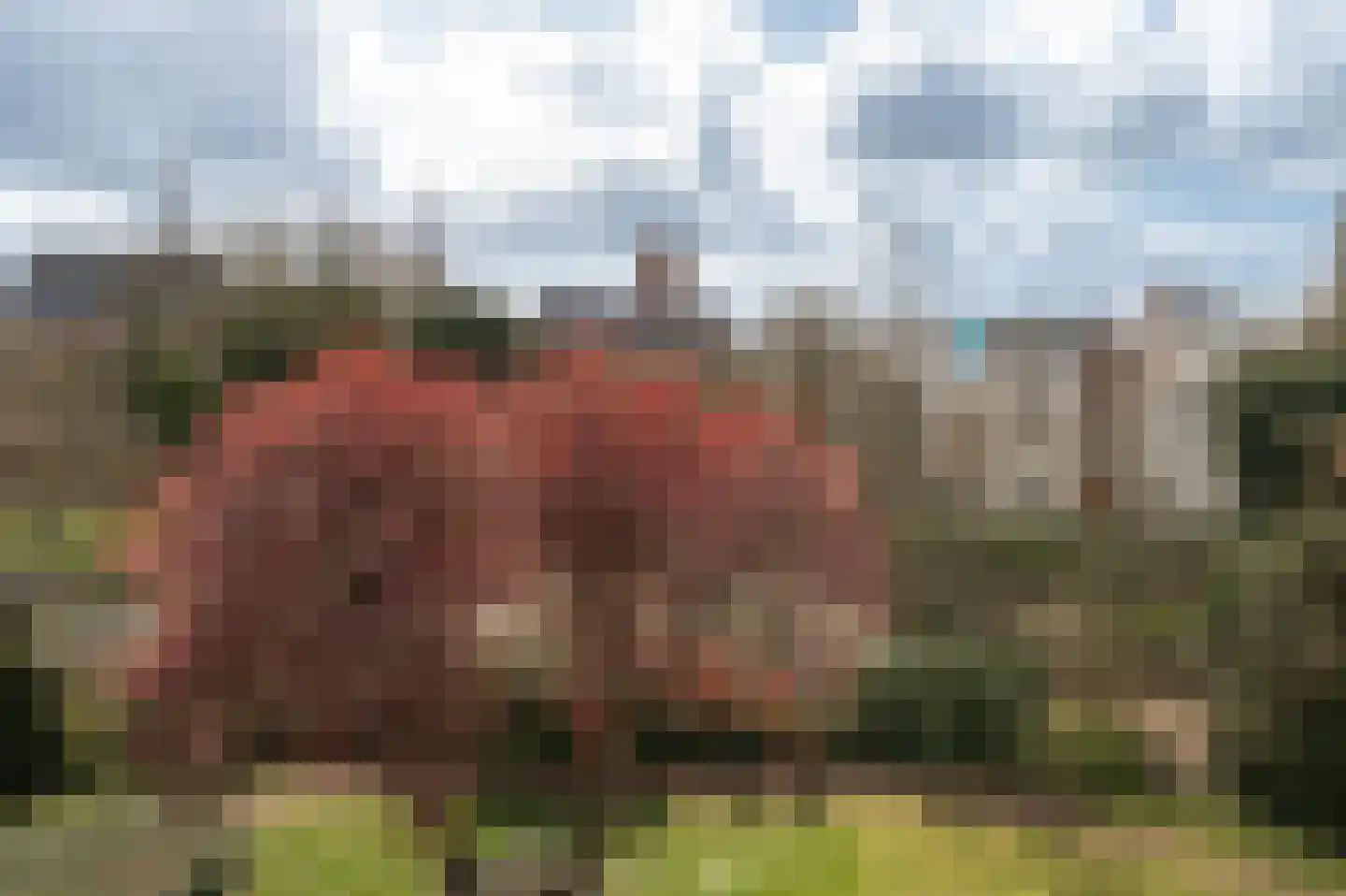 Elisabethdreef 3 24 Culemborg thumbnail 25