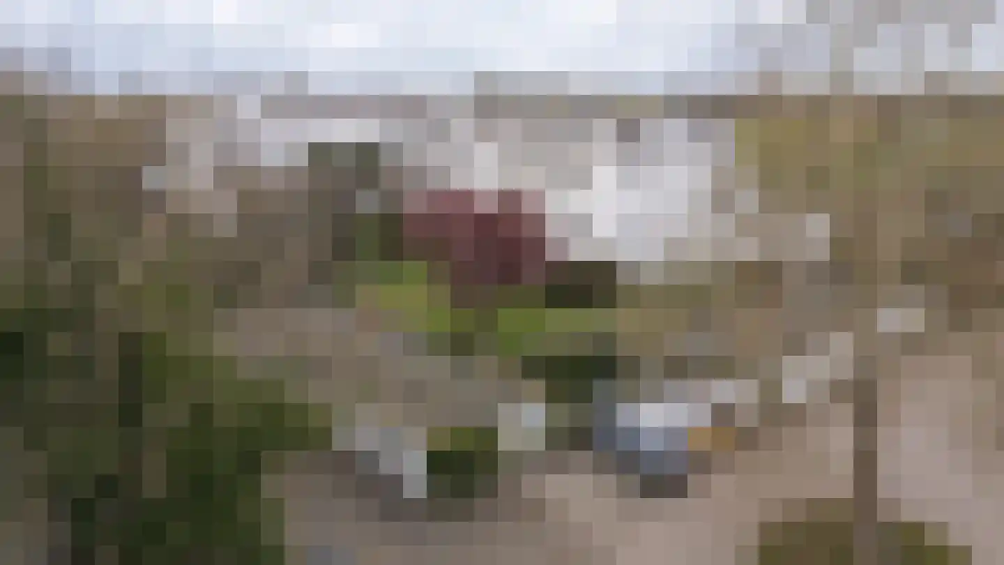 Elisabethdreef 3 24 Culemborg thumbnail 49