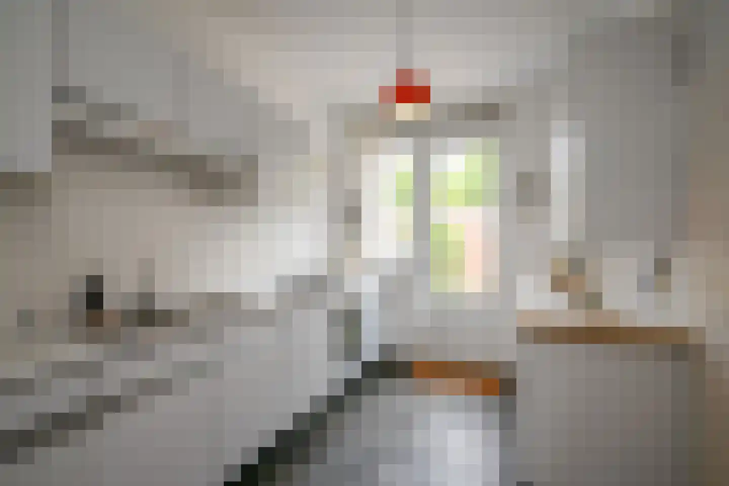 Elisabethgaarde 7 Bussum thumbnail 10