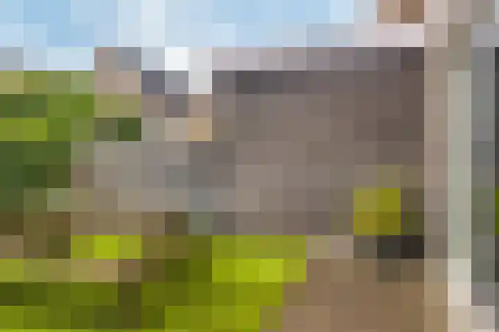 Elisabethhoeve 19 Joure thumbnail 10