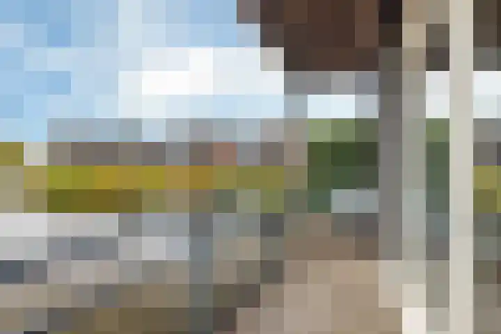 Elisabethhoeve 19 Joure thumbnail 18