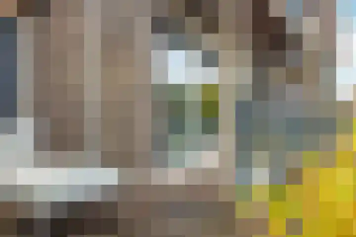 Elisabethhoeve 19 Joure thumbnail 19