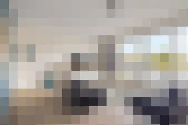 Elisabethhoeve 19 Joure thumbnail 25