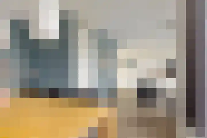 Elisabethhoeve 19 Joure thumbnail 28