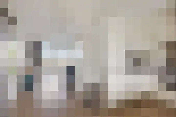 Elisabethhoeve 19 Joure thumbnail 29