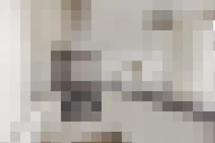 Elisabethhoeve 19 Joure thumbnail 30