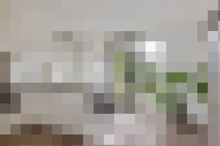 Elisabethhoeve 19 Joure thumbnail 31