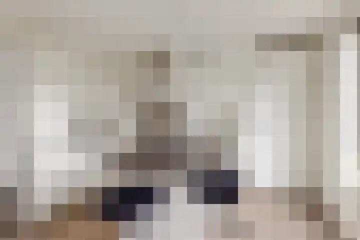 Elisabethhoeve 19 Joure thumbnail 32
