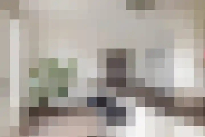 Elisabethhoeve 19 Joure thumbnail 33
