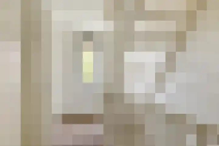 Elisabethhoeve 19 Joure thumbnail 36