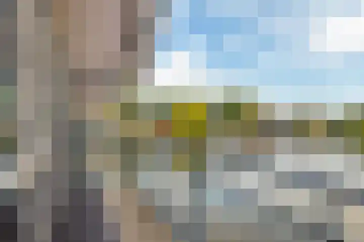 Elisabethhoeve 19 Joure thumbnail 41