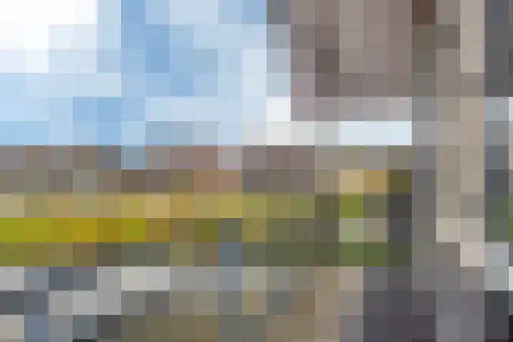 Elisabethhoeve 19 Joure thumbnail 42