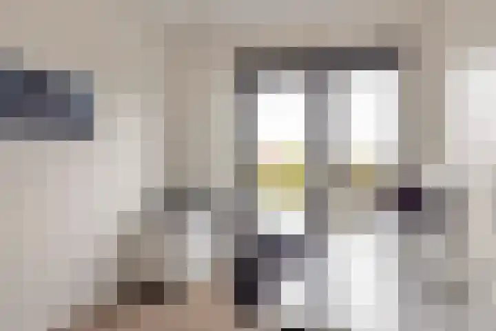 Elisabethhoeve 19 Joure thumbnail 43