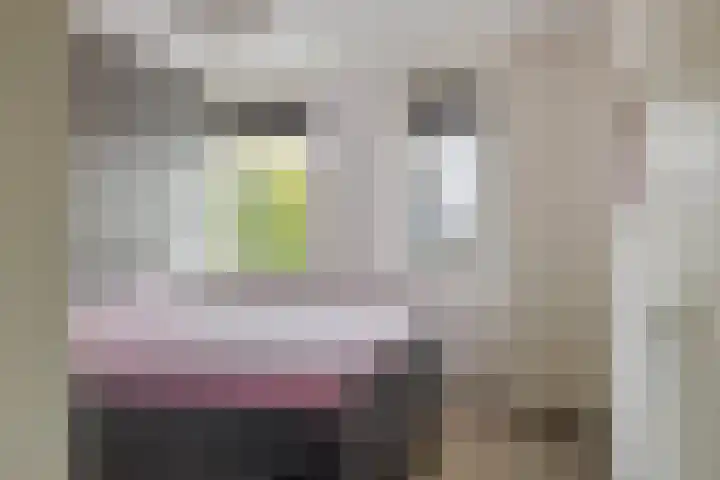 Elisabethhoeve 19 Joure thumbnail 45
