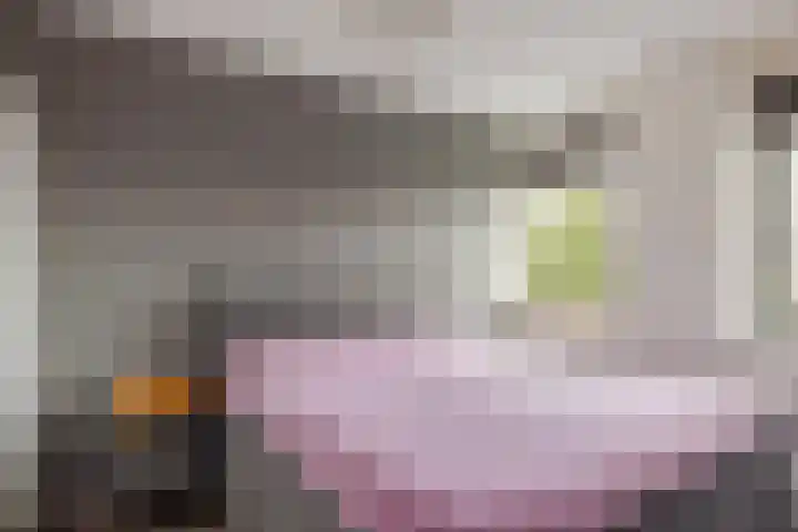 Elisabethhoeve 19 Joure thumbnail 46