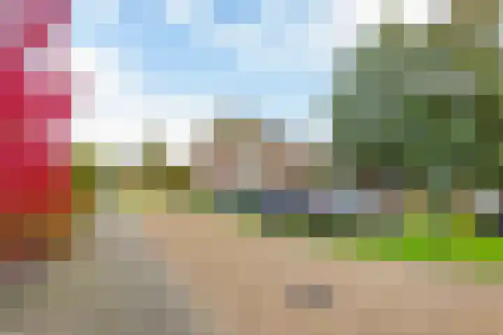 Elisabethhoeve 19 Joure thumbnail 6