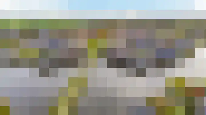 Elisabethhoeve 19 Joure thumbnail 60