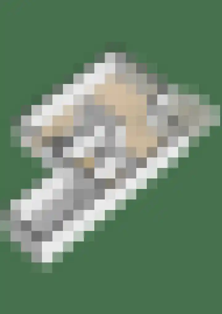 Elisabethhoeve 19 Joure thumbnail 65