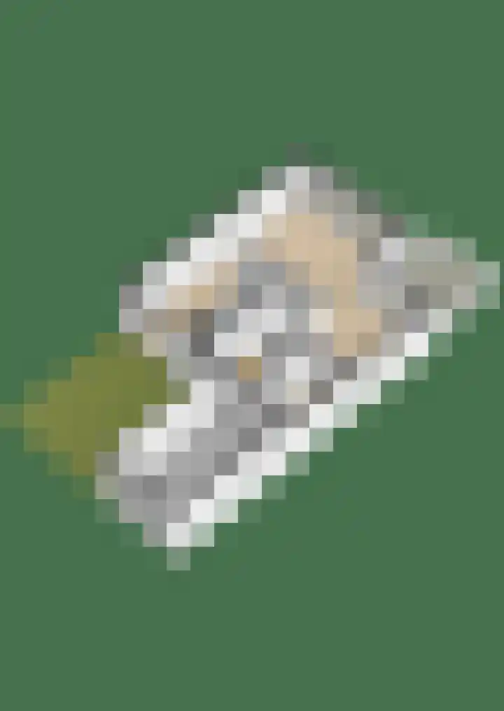 Elisabethhoeve 19 Joure thumbnail 68