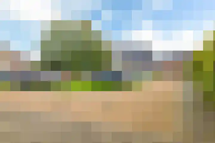 Elisabethhoeve 19 Joure thumbnail 7