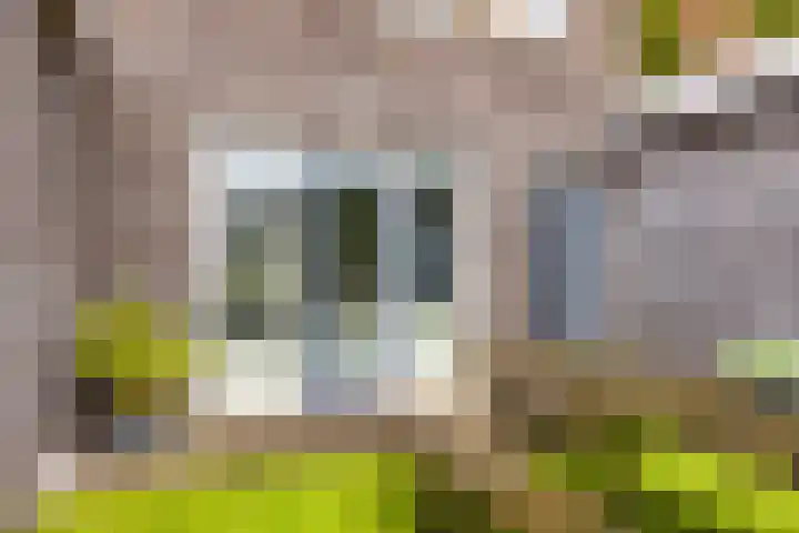 Elisabethhoeve 19 Joure thumbnail 8