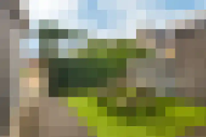 Elisabethhoeve 19 Joure thumbnail 9