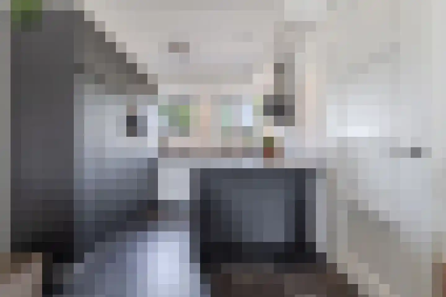 Elisabethhoeve 36 Joure thumbnail 13