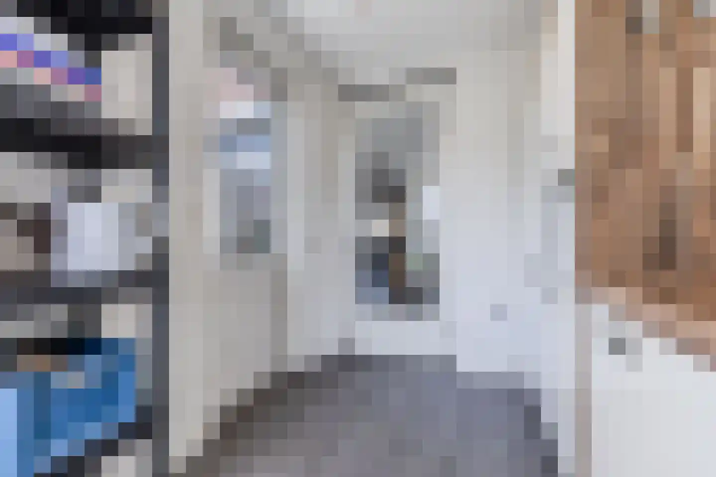 Elisabethhoeve 36 Joure thumbnail 18