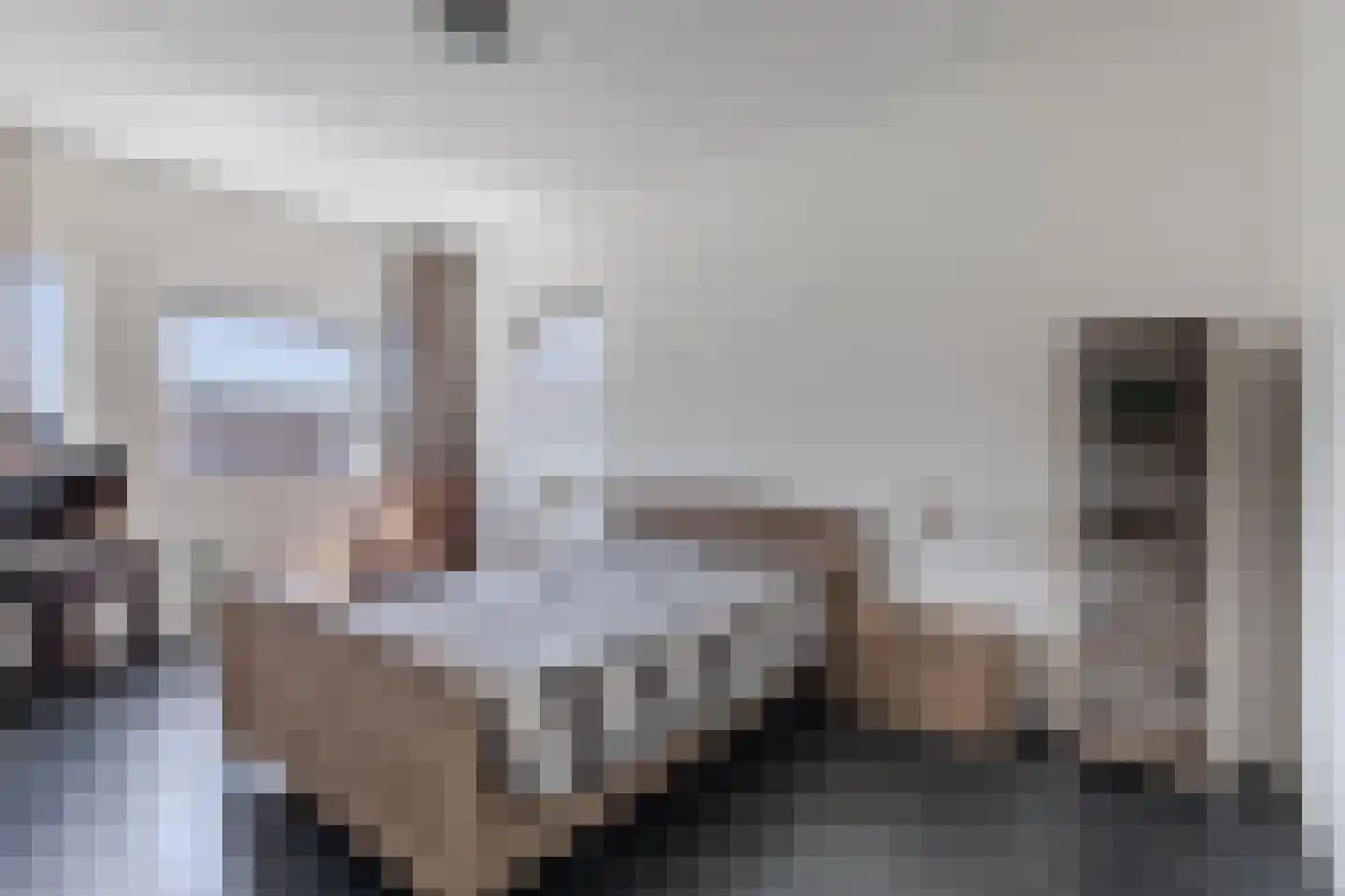 Elisabethhoeve 36 Joure thumbnail 22