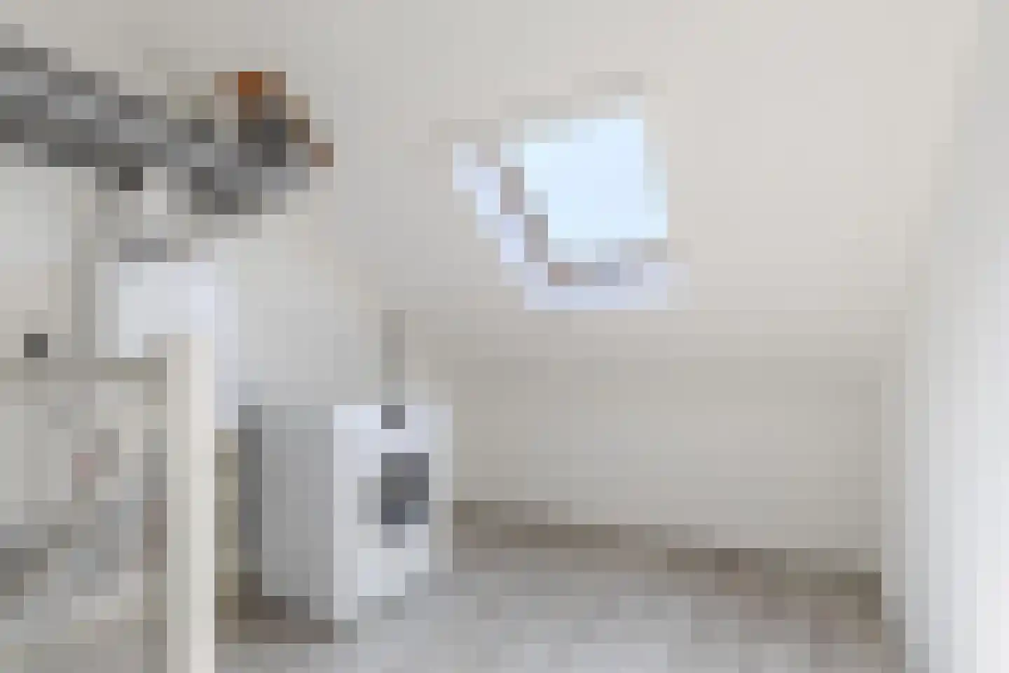 Elisabethhoeve 36 Joure thumbnail 31