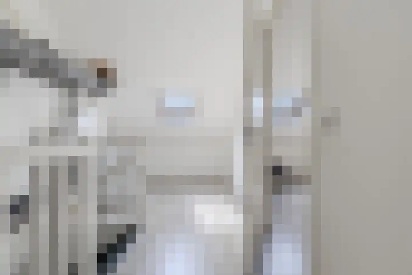 Elisabethhoeve 36 Joure thumbnail 33