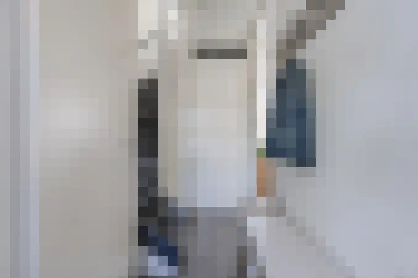 Elisabethhoeve 36 Joure thumbnail 5