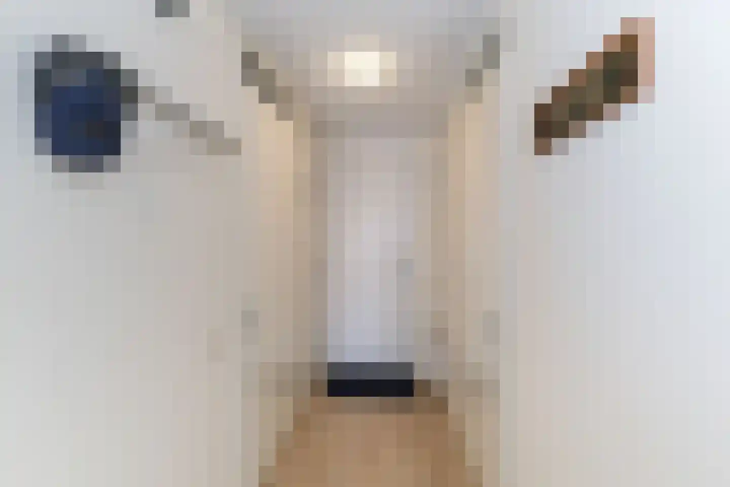Elisabethhof 12 Oostvoorne thumbnail 23