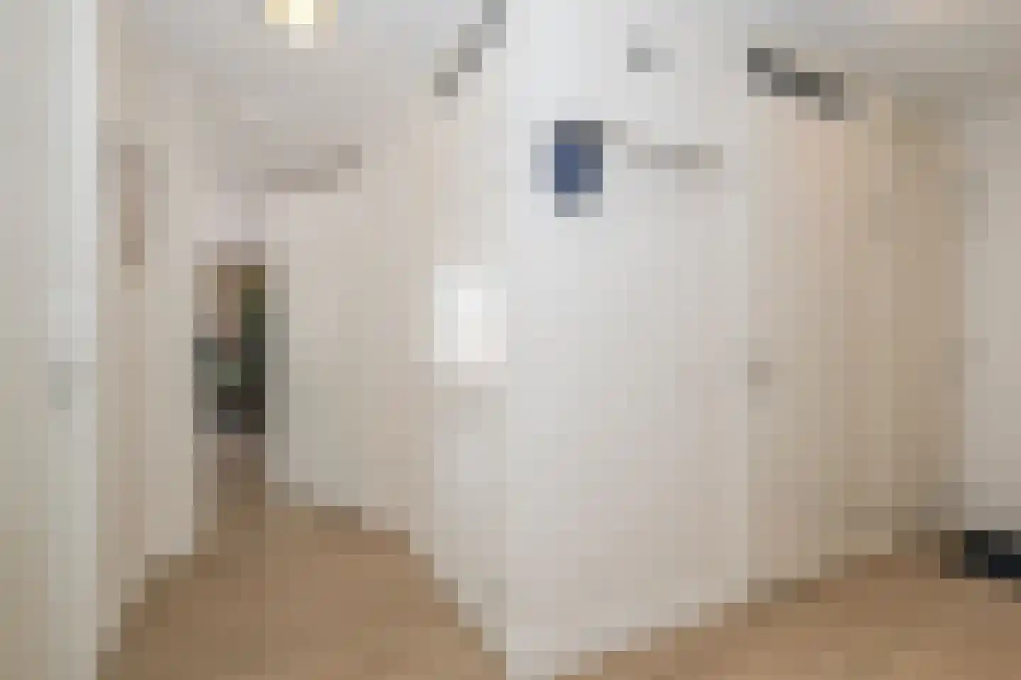 Elisabethhof 12 Oostvoorne thumbnail 24