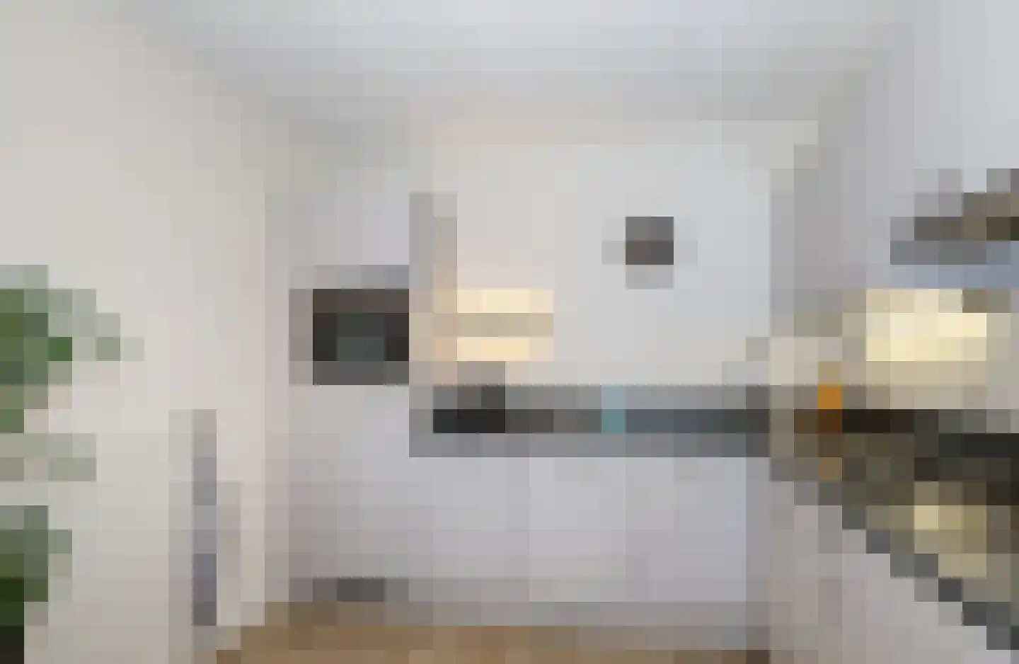 Elisabethhof 12 Oostvoorne thumbnail 32