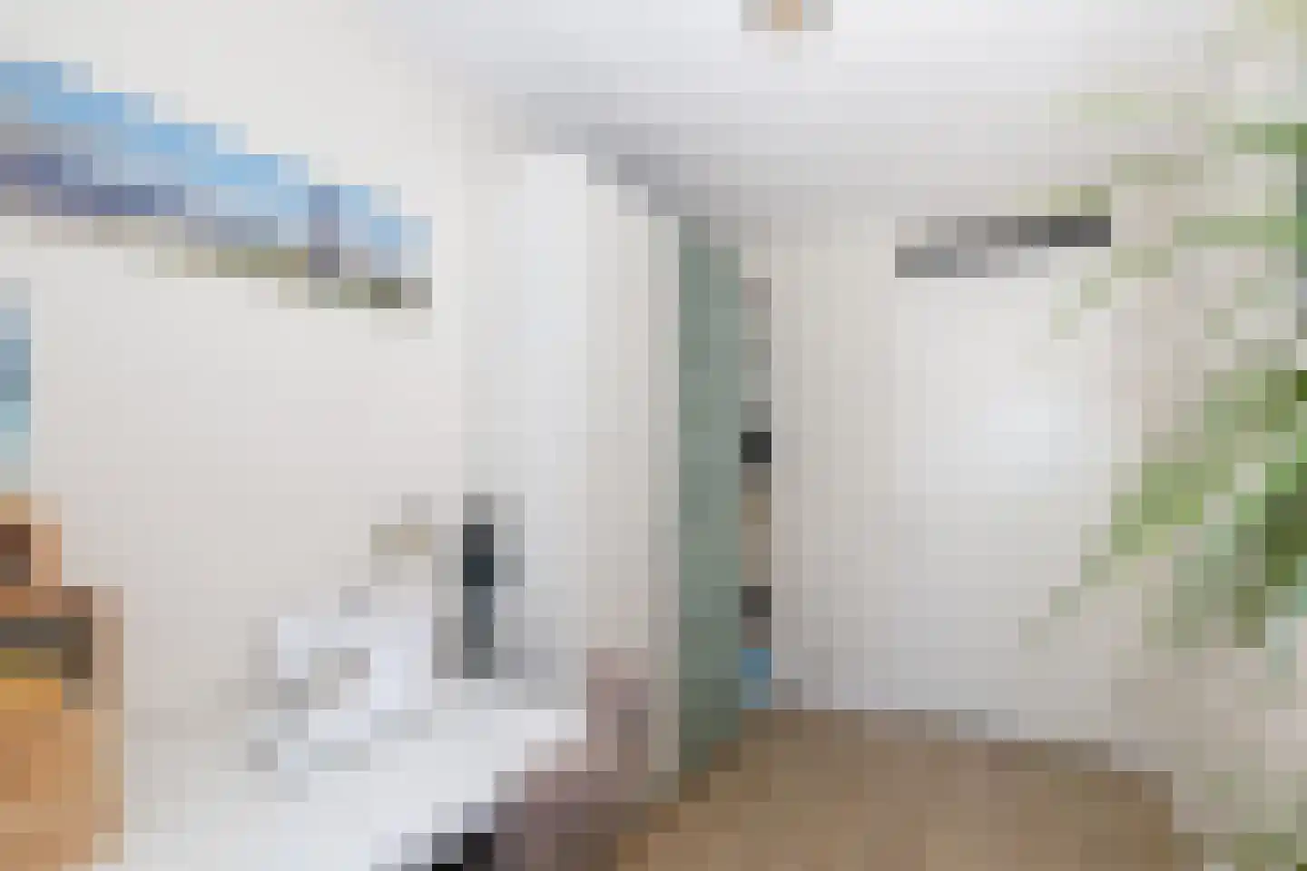 Elisabethhof 12 Oostvoorne thumbnail 42