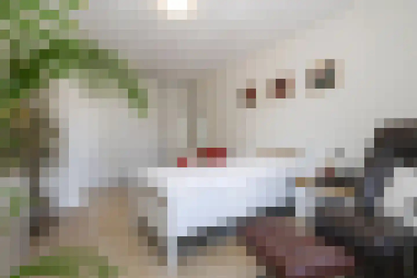 Elisabethhof 12 Oostvoorne thumbnail 44