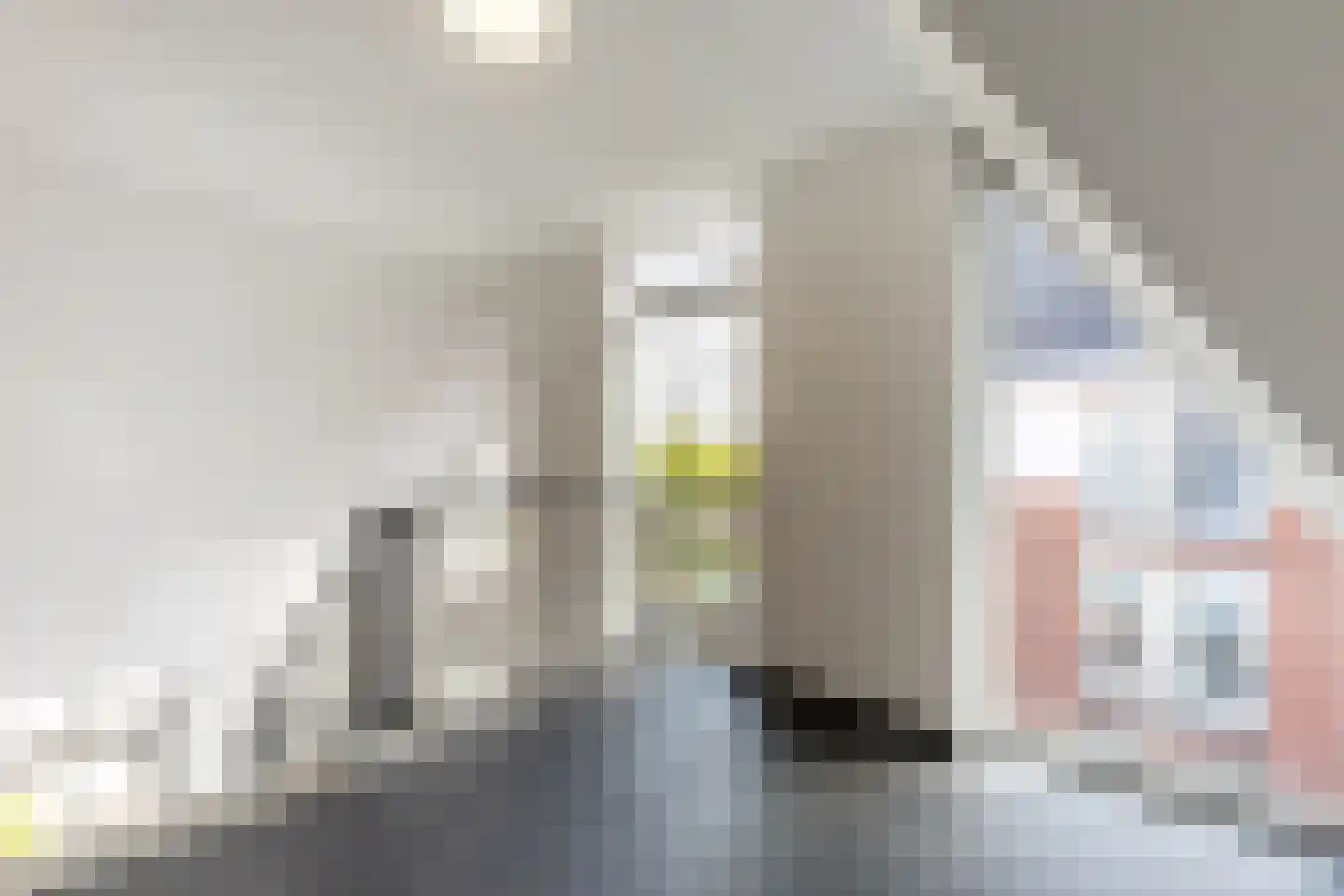 Elisabethhof 31 Oostvoorne thumbnail 12