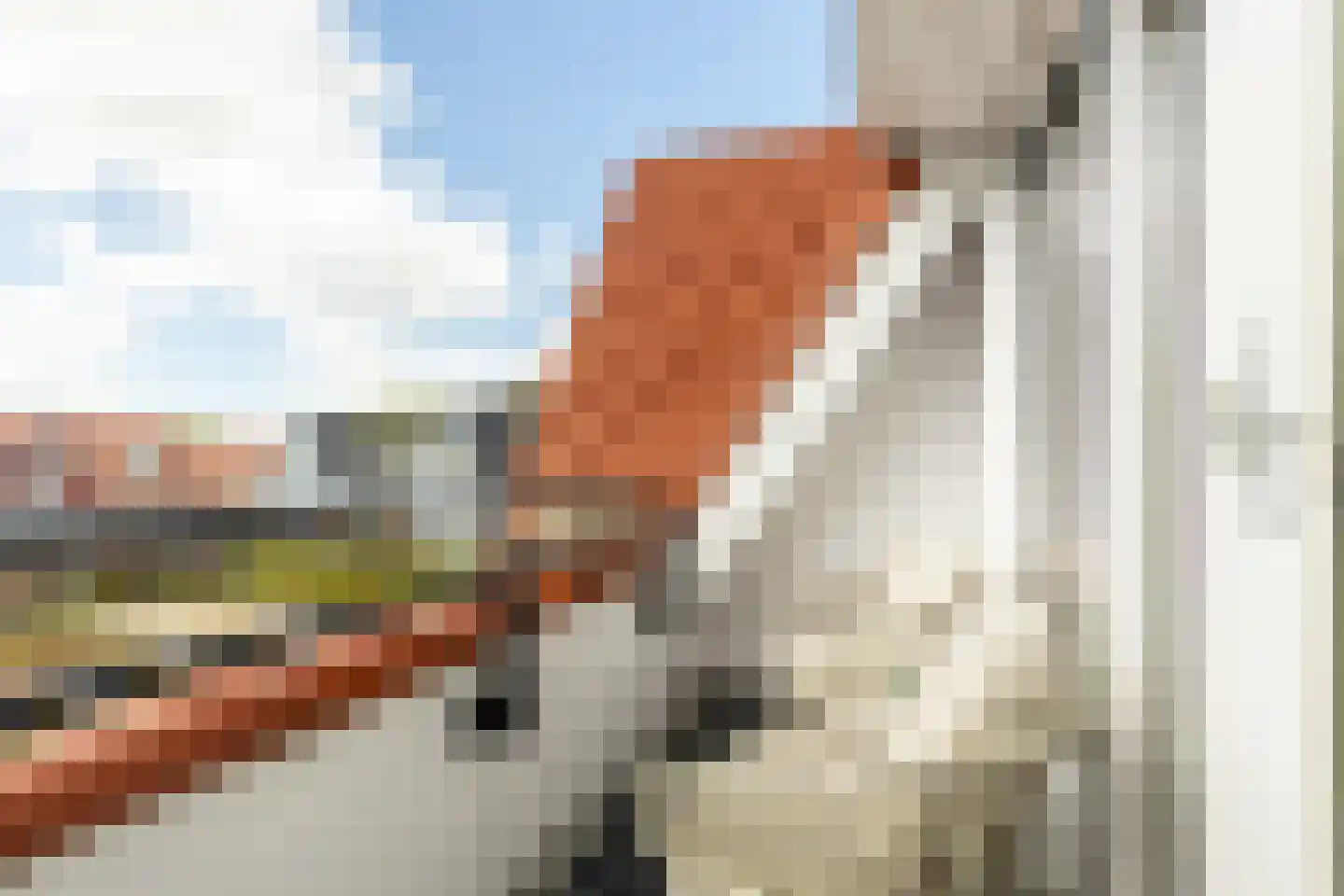 Elisabethhof 31 Oostvoorne thumbnail 16