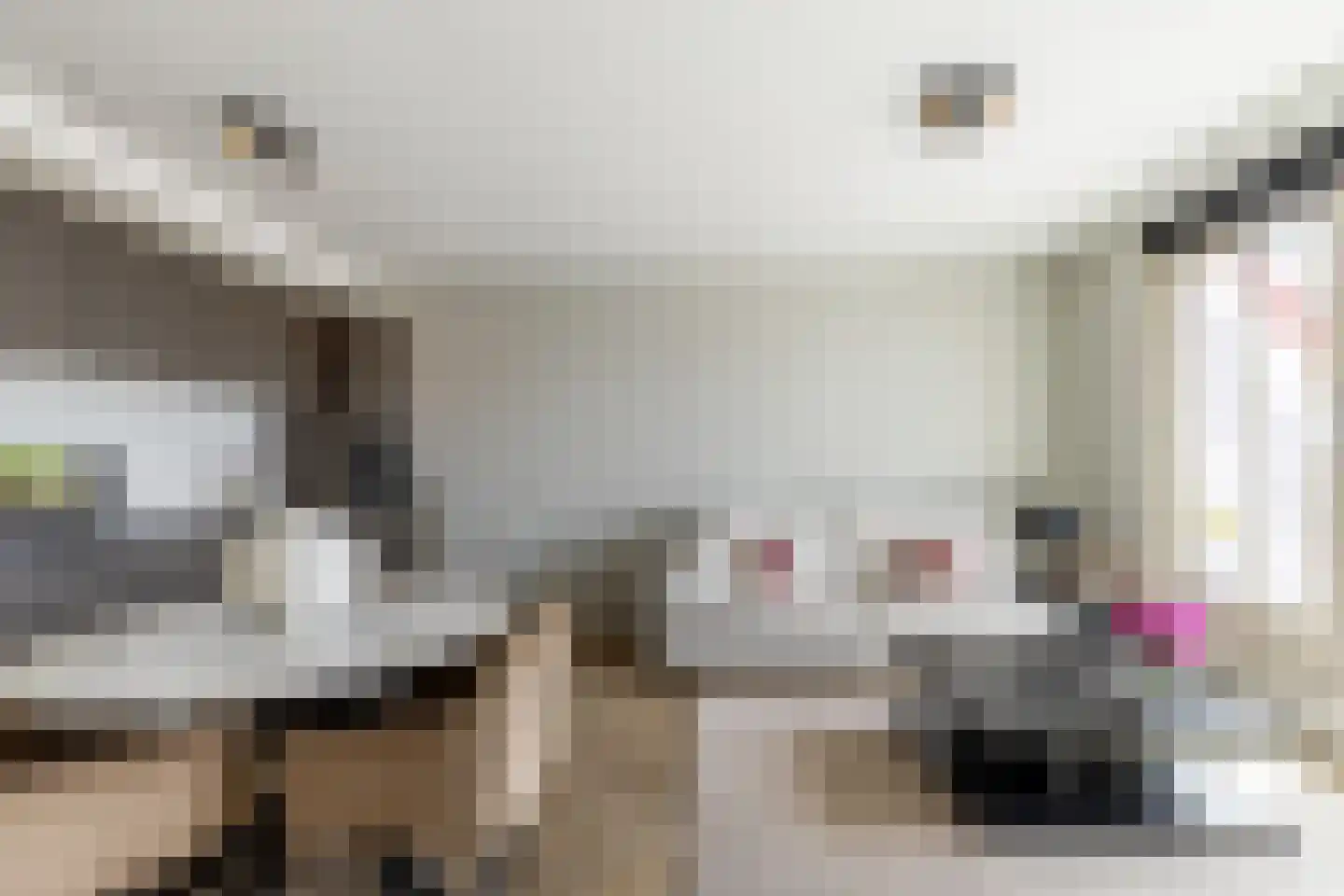 Elisabethhof 31 Oostvoorne thumbnail 18