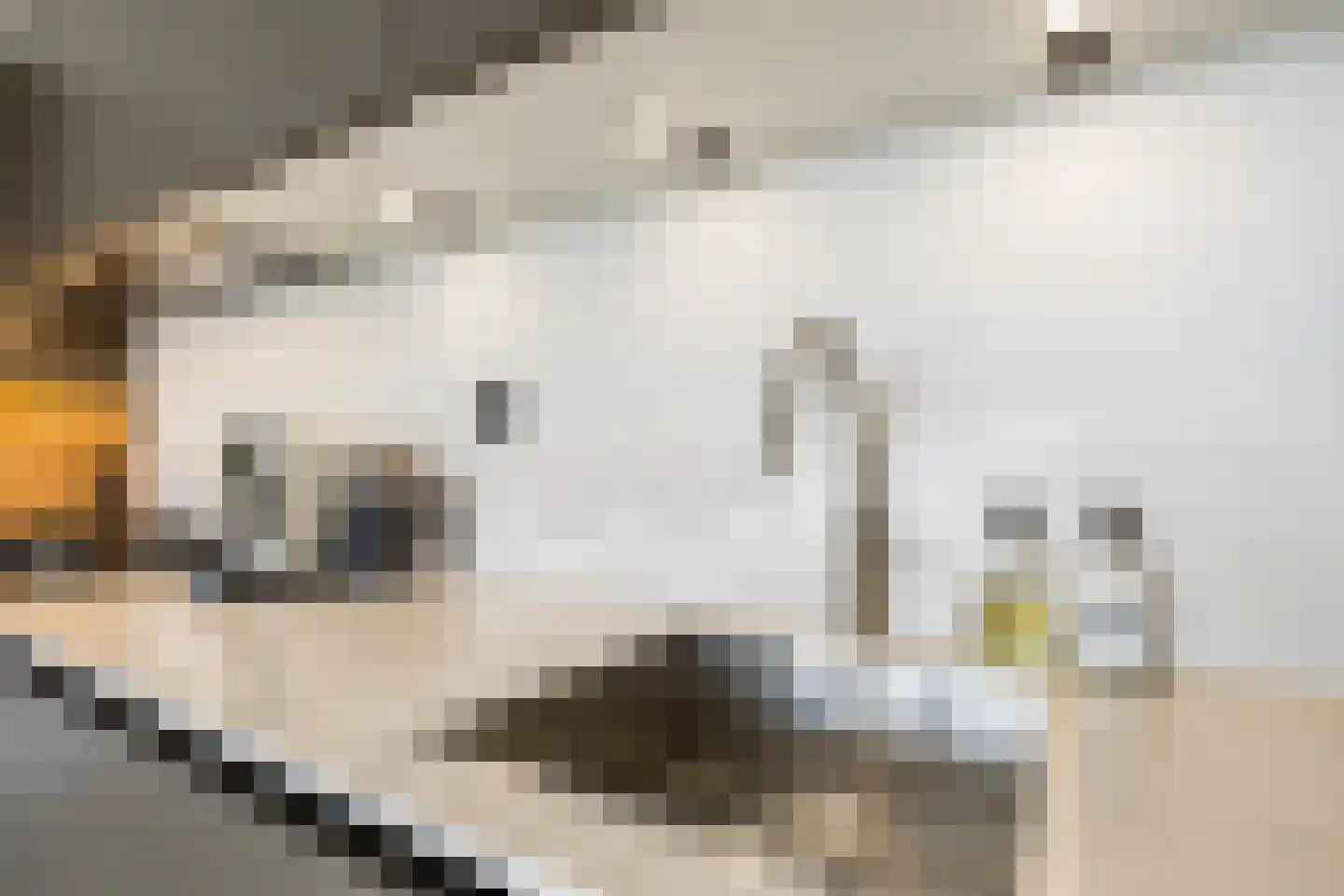 Elisabethhof 31 Oostvoorne thumbnail 21