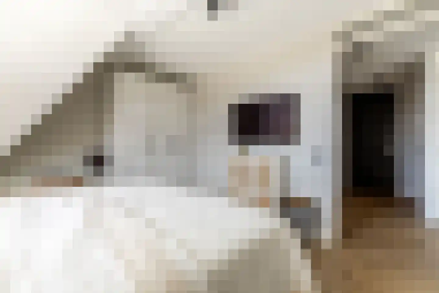 Elisabethhof 31 Oostvoorne thumbnail 26
