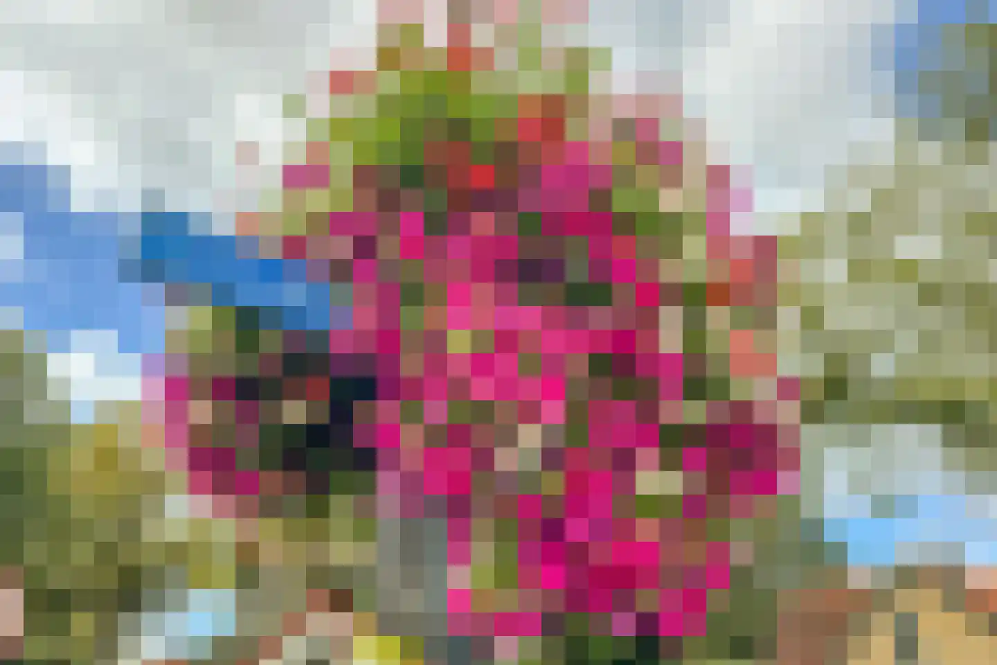 Elisabethhof 31 Oostvoorne thumbnail 33