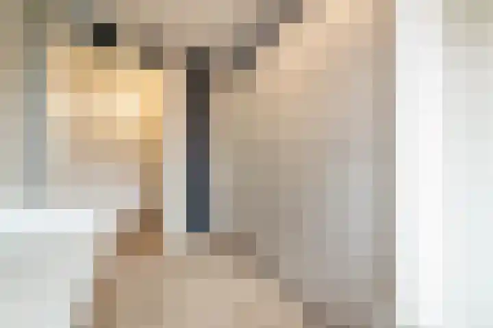 Elisabethhof 42 Oostvoorne thumbnail 21